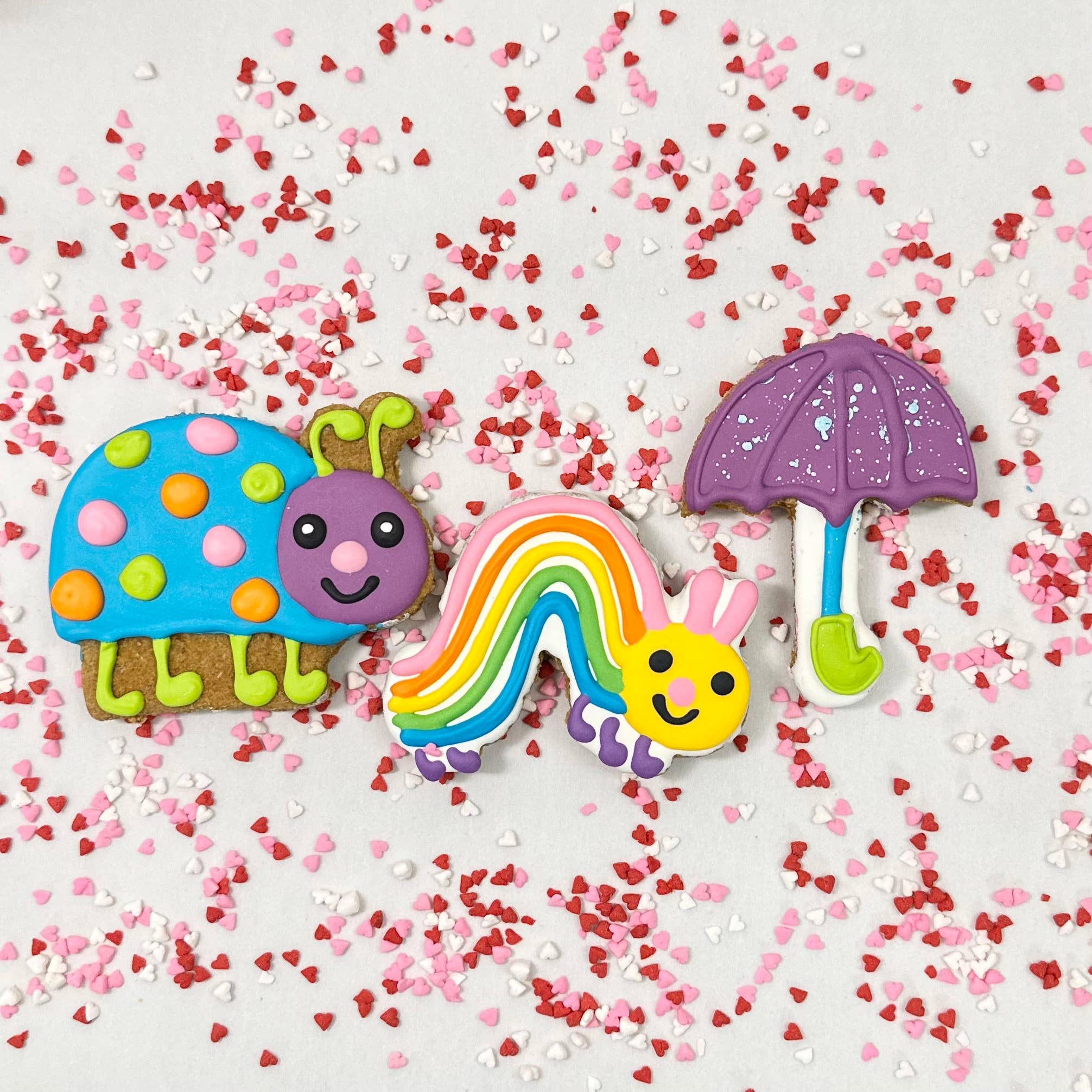 Lucky Biscuit Pet Bakery - Wholesale Pet Treats - Dog - Colorburst Spring Bloom Collection24