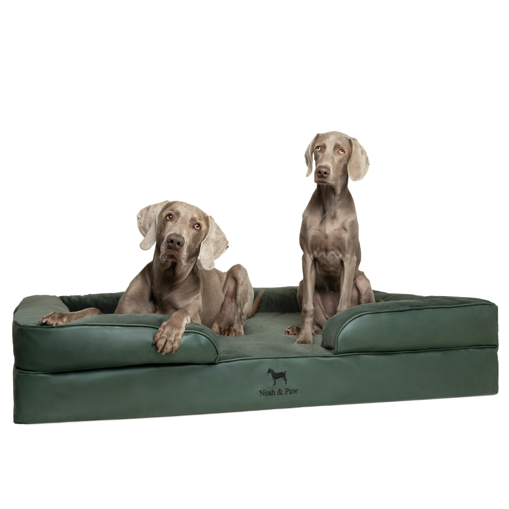 NOAH AND PAW LLC – Großhandel Haustierbett – Katze/Hund – Orthopädisches Hundebett im Sofastil aus Kunstleder mit Memory-Schaum und kühlendem Gel4