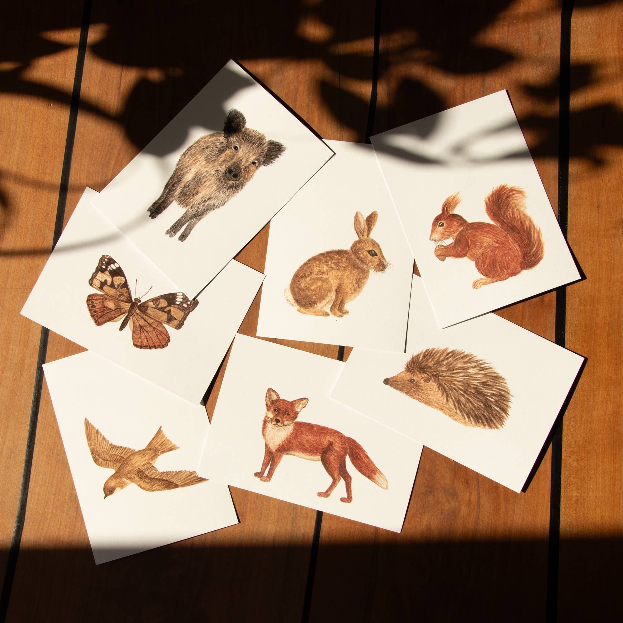 erd.apfel - Wholesale Postcard - Postcard Animals - Rabbit1