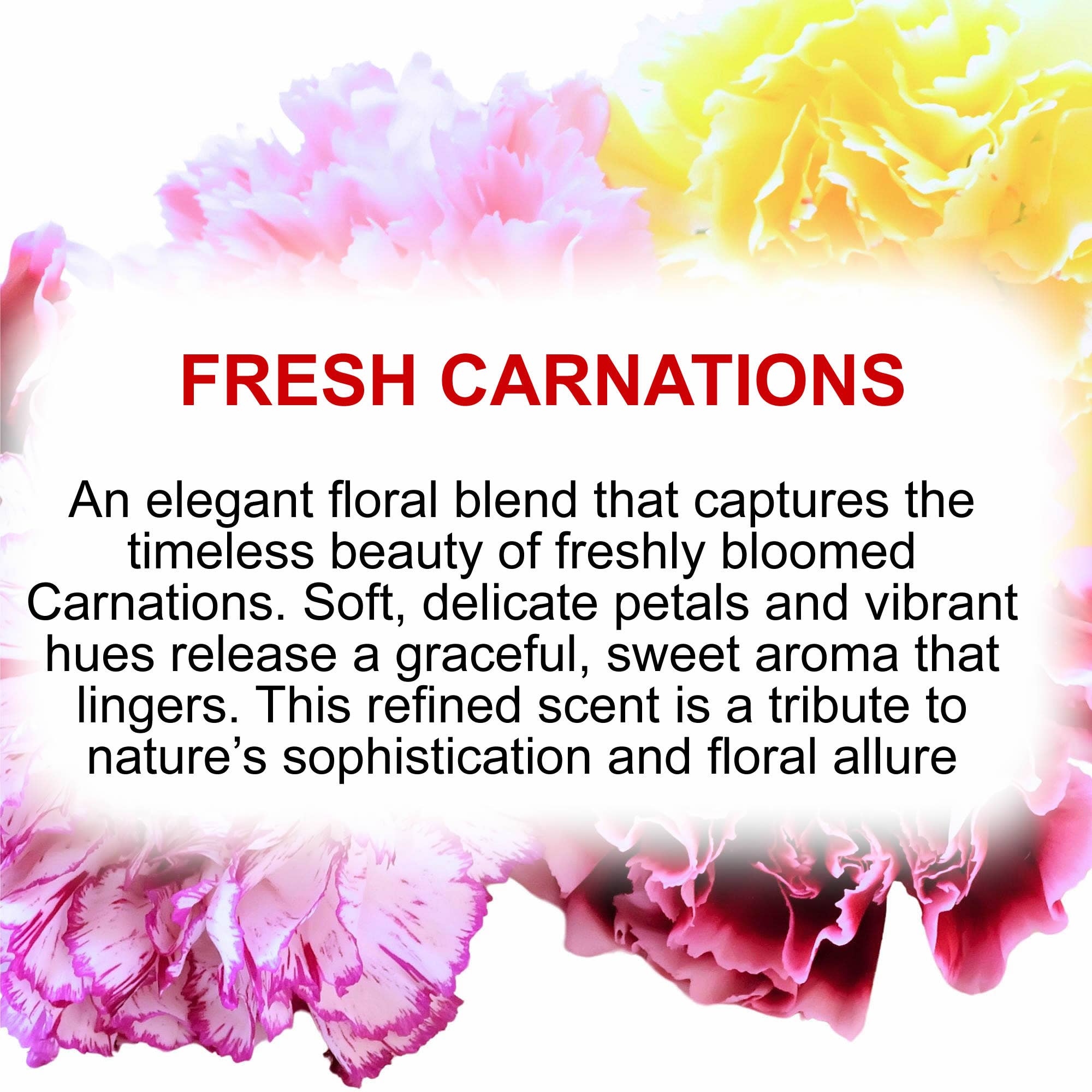 Aroma Kaz - Wholesale Perfume/Eau de Toilette - Fresh Carnations Perfume Body Spray Mist Vegan/Cruelty Free1