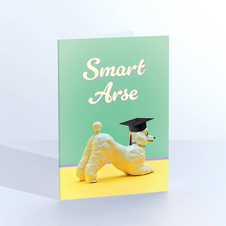 Smart Arse Poodle Congratulations Greetings Card for wholesale by Ornament Art
