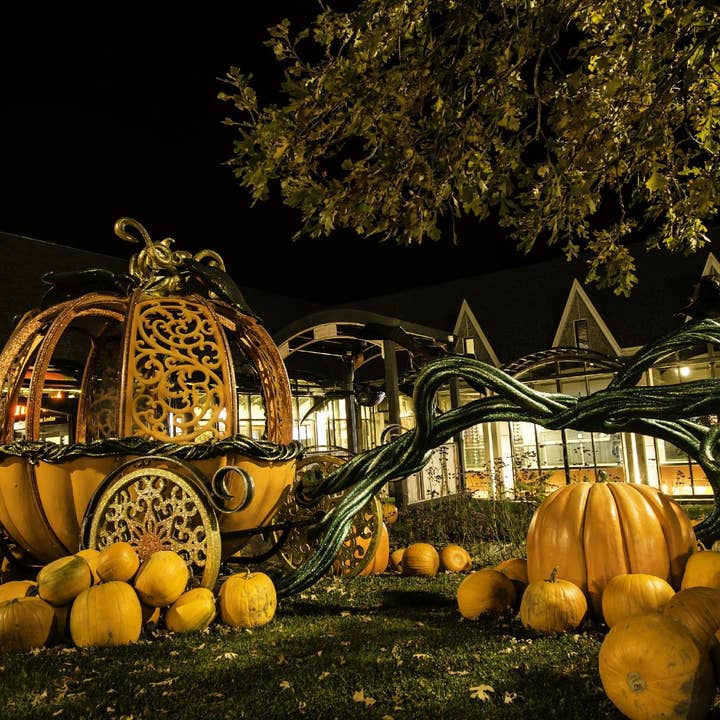 Intergalactic Pumpkin Patch for wholesale by Purely Cosmic