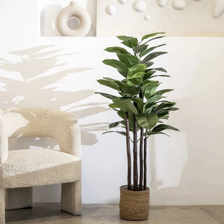 Maia Shop - Wholesale Artificial Plant - 6' Artificial Rubber Plant