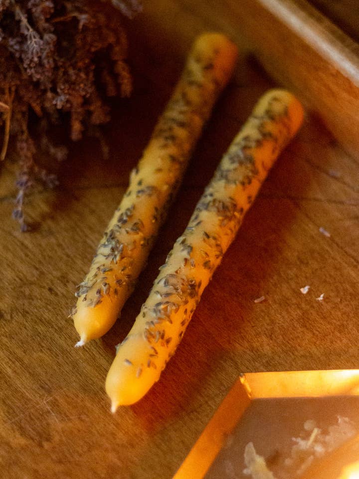 Hand Dipped Beeswax Taper Candle with Lavender Buds for wholesale by The Ramblin' Bee