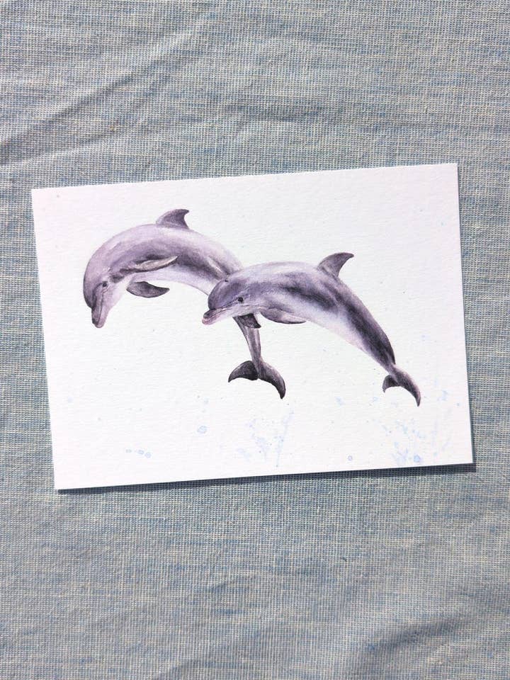 Carte postale Dauphins pour la vente par Jona Art