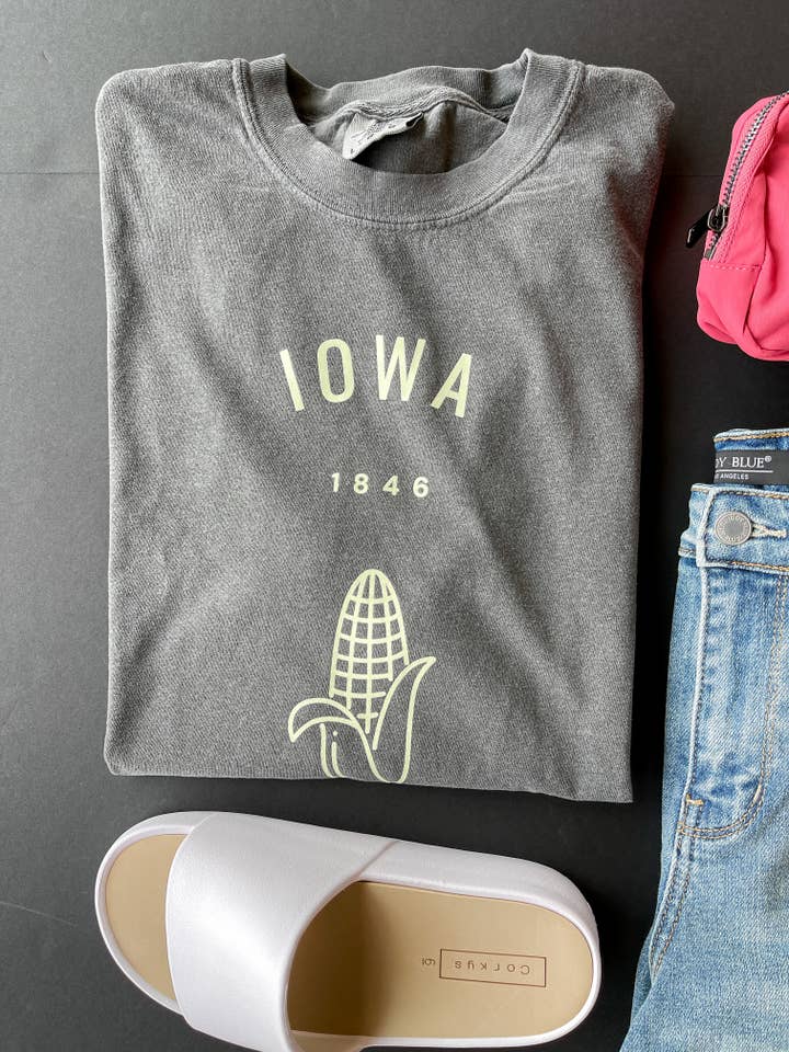 Iowa 1846 | Adult Charcoal Comfort Colors Graphic Tee for wholesale by Bizzy's Wholesale