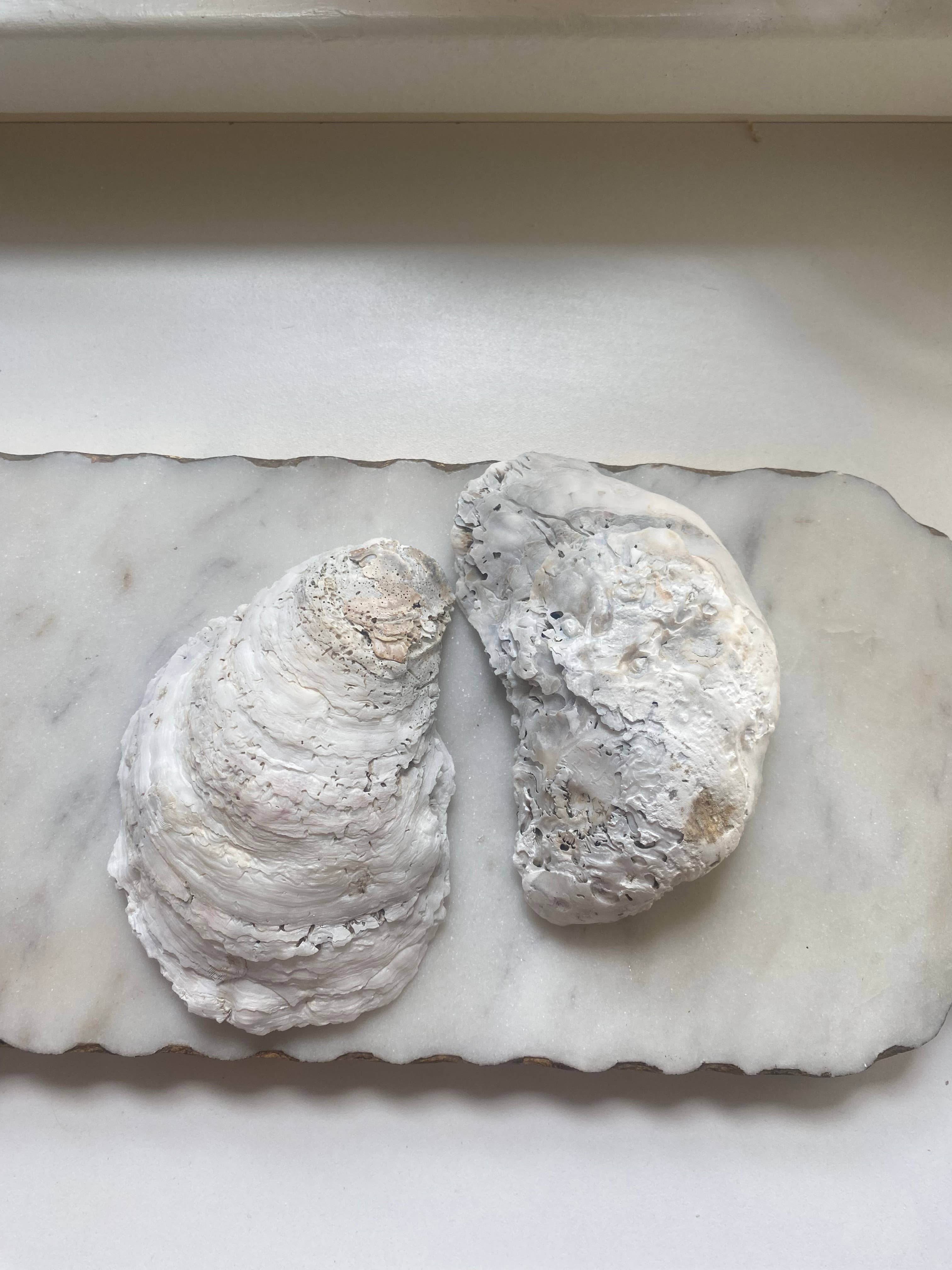 Del Mar Designs DC - Wholesale Jewelry Dish - Cherry Blossom Oyster Shell Jewelry Dish1