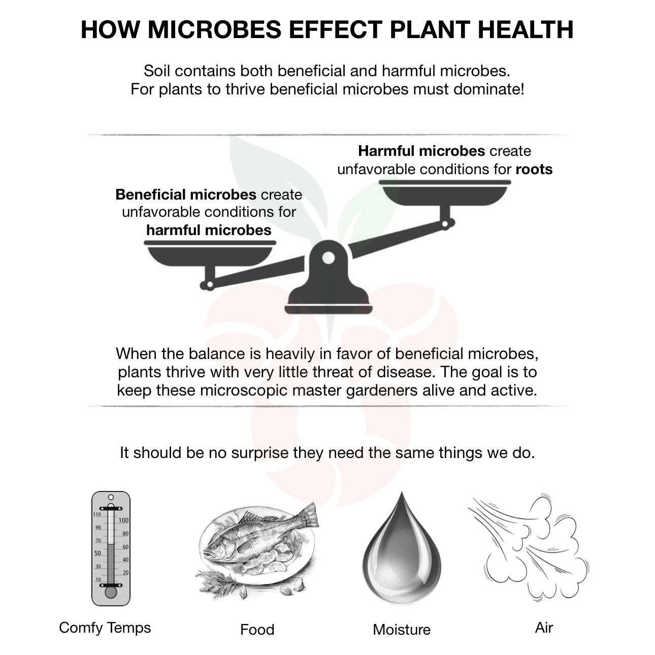 Soil Candy - Wholesale Planting/potting soil - Activated Biochar Bulk (local pickup only)2