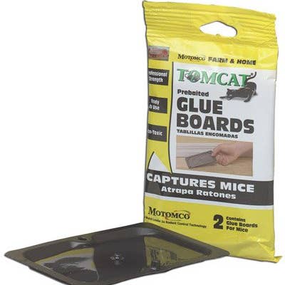 RodenticideCanada.com - Wholesale Insect Repellent - Motomco Rodent Tomcat Trap Mice Mouse Glue Board Valupak 4Pk