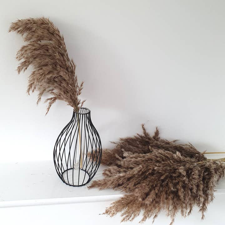 Opal Lily - Wholesale Dried/Pressed Flowers - Wild Fluffy Pampas - Brown3