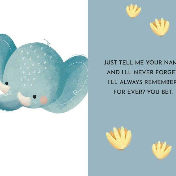 Axis Toys & Gifts - Wholesale Baby and toddler book (0–2) - Sassi My First Library - Baby Animals (Lifestyle Edition)15