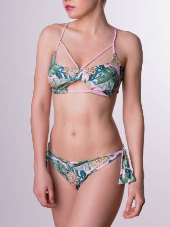 TERESA suculenta para venta al por mayor de Tadoro Tuduri