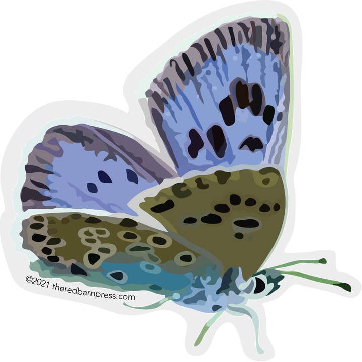 Clear Edge Butterfly Sticker | Blue Butterfly for wholesale by The Red Barn Press