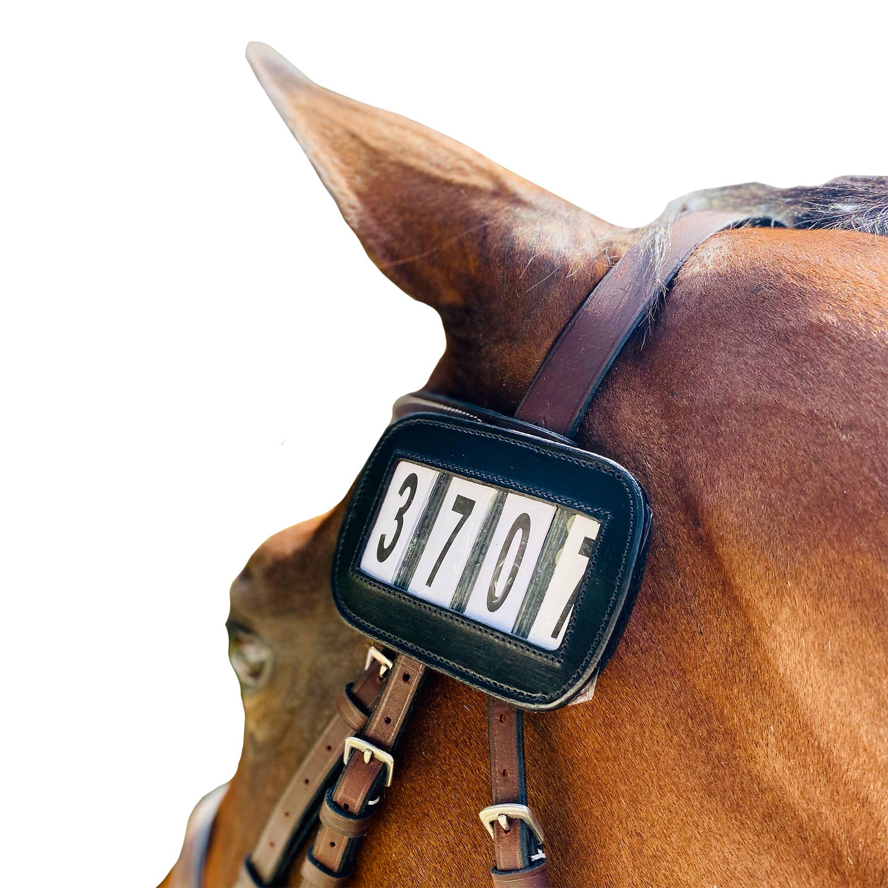 ACE Equestrian – Equipamento de equitação por atacado – PRO4MANCE | # I.D. - Preto (Pacote com 2, 4 dígitos)