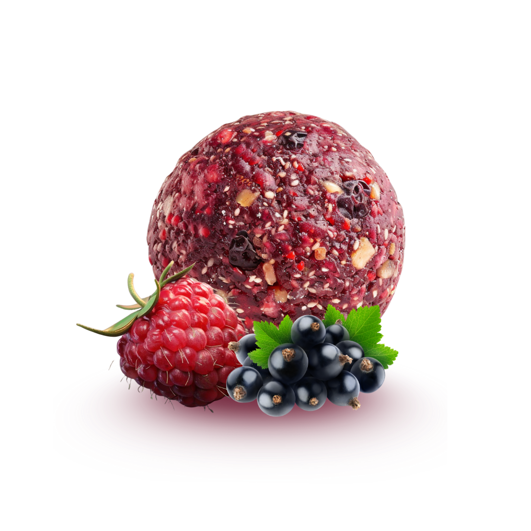 NÜTTREE - Wholesale Snack Bar - BIO ENERGY BALLS | RASPBERRY & BLACKCURRANT1
