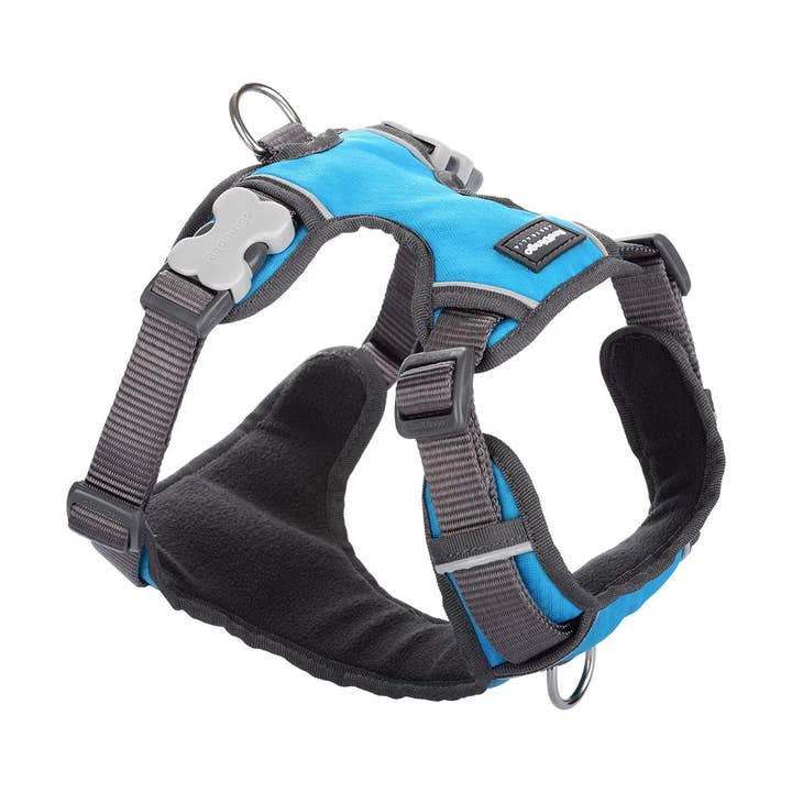 Red Dingo Dog Padded Harness Turquoise for wholesale by Sherwood Paws