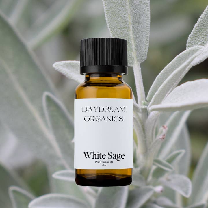 Daydream Organics | Prairie Doctor Brand - Wholesale Essential Oil - White Sage Essential Oil
