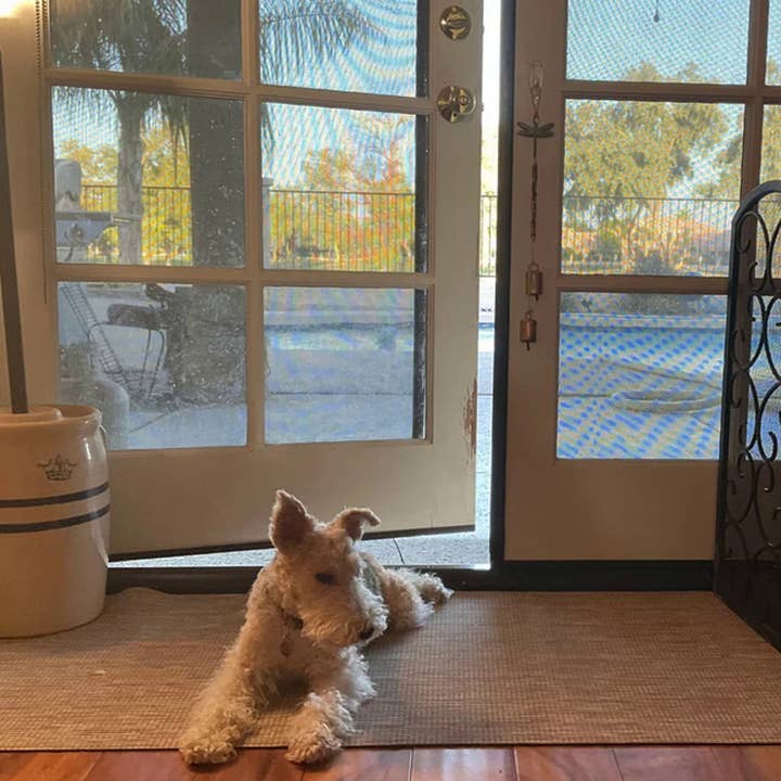 Whiskers 'n Paws Unique Pet Gifts, LLC - Wholesale Pet Toy - Dog - Doggie Door Bells (DDB-009)