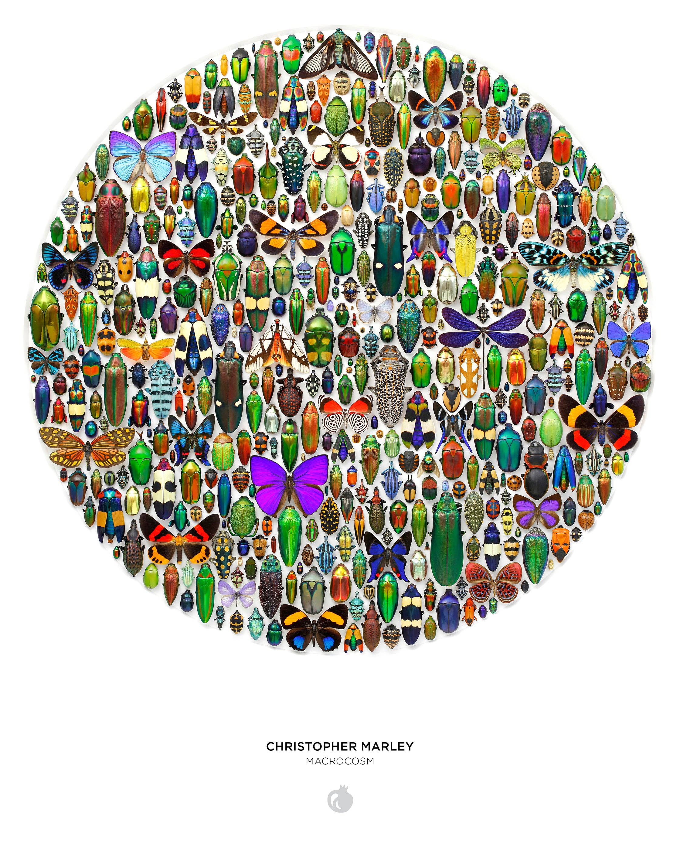 Pomegranate - Wholesale Puzzle - Adult - Christopher Marley: Macrocosm 500-Piece Circular Jigsaw Puzzle2