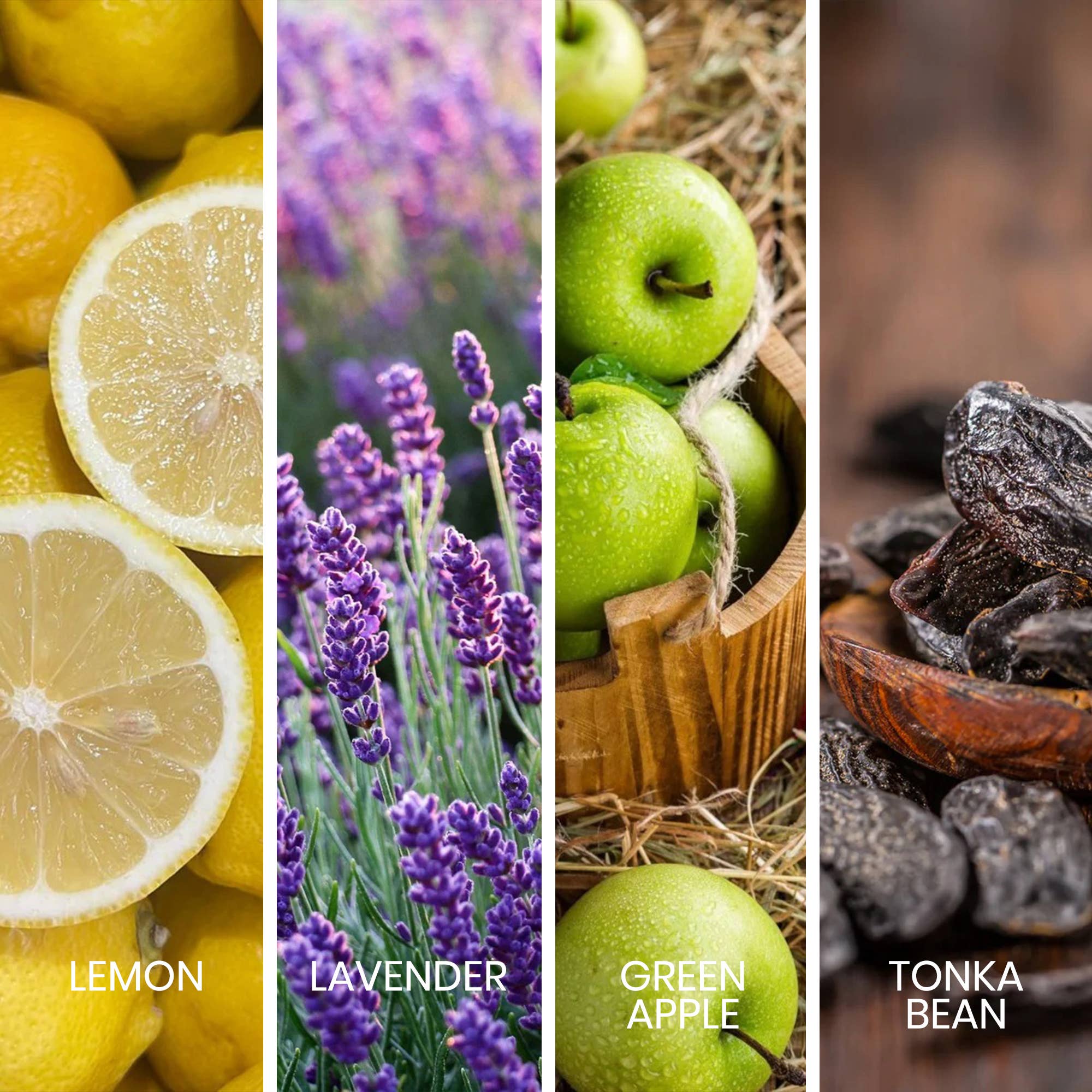 SWISS ARABIAN - Vendita all'ingrosso Profumi/Eau de toilette - Sapil Intense Eau de Toilette Profumo Aromatico per Uomo 100ml2