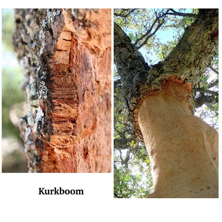 FATES, style with a story – Großhandel Gliederhalskette – KORK-Kette 1-zeilig, gelb1