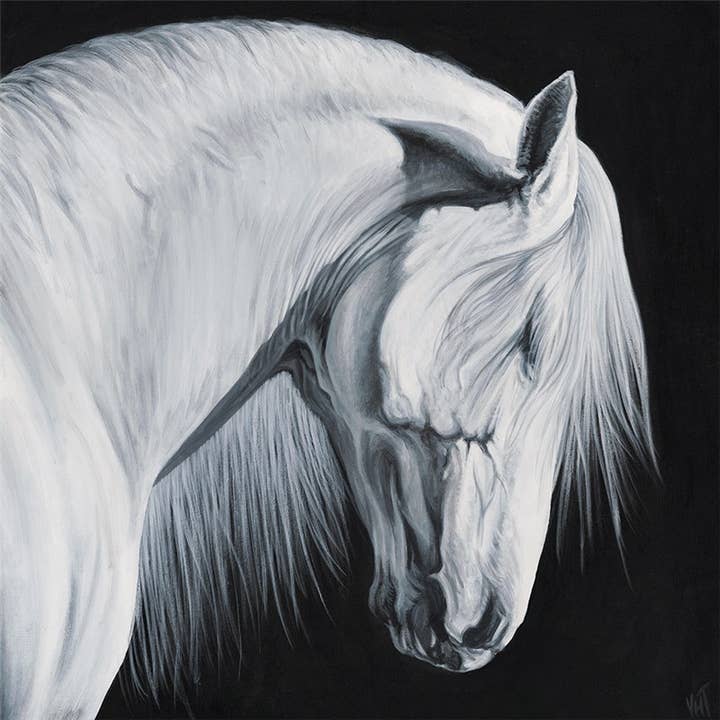 Greeting Card White Stallion for wholesale by Natural Partners Limited