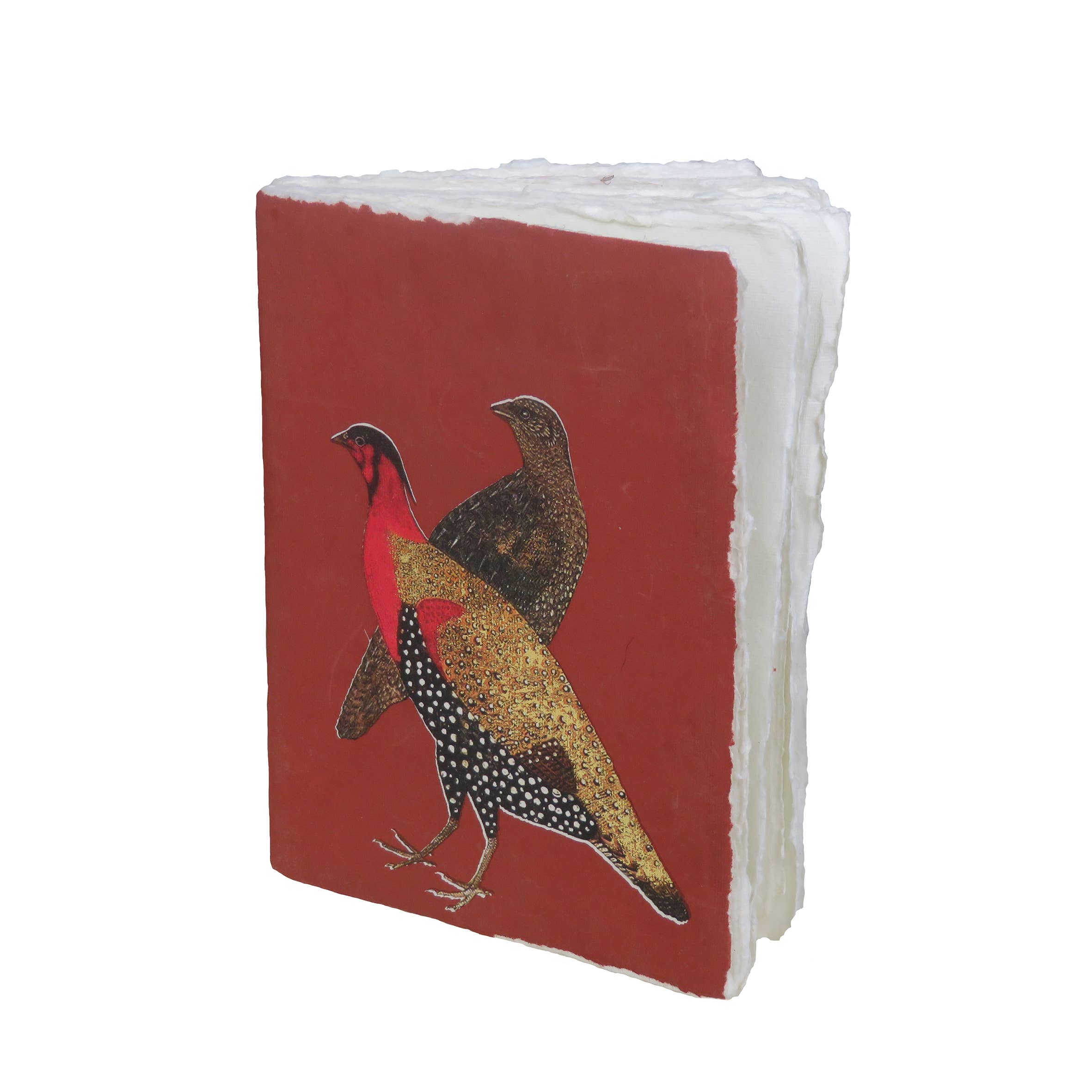 Epigram - Wholesale Notebook - Parchment paper notebook with royal bird pattern, falcon3