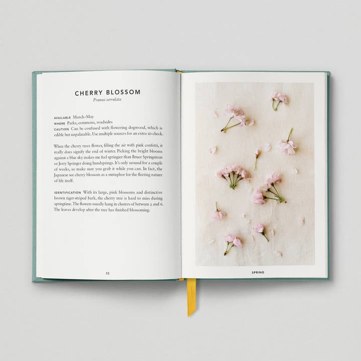 Hoxton Mini Press – wholesale Cookbooks and food – The Urban Forager1