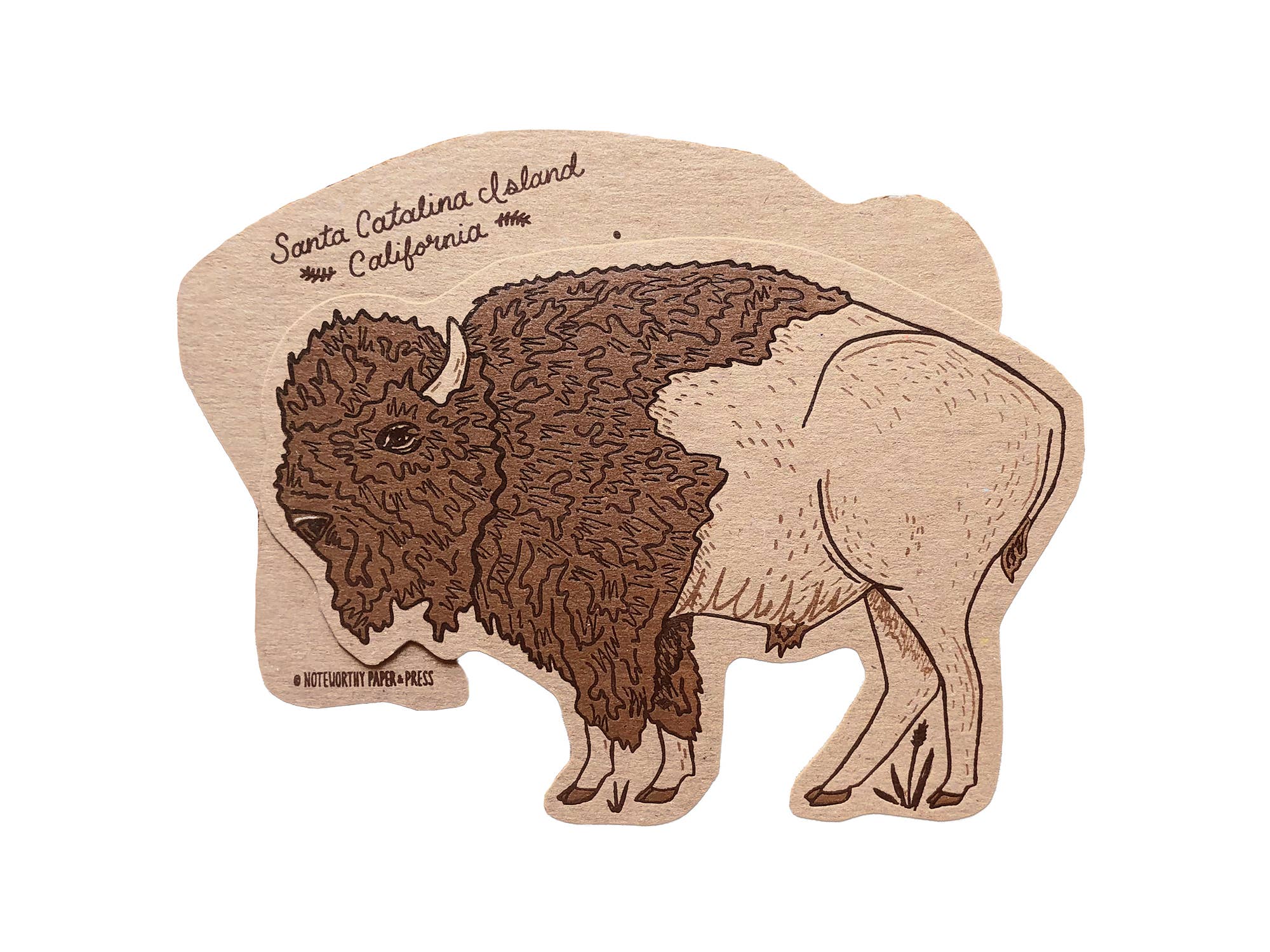 Noteworthy Paper & Press - Wholesale Postcard - Bison Postcard8