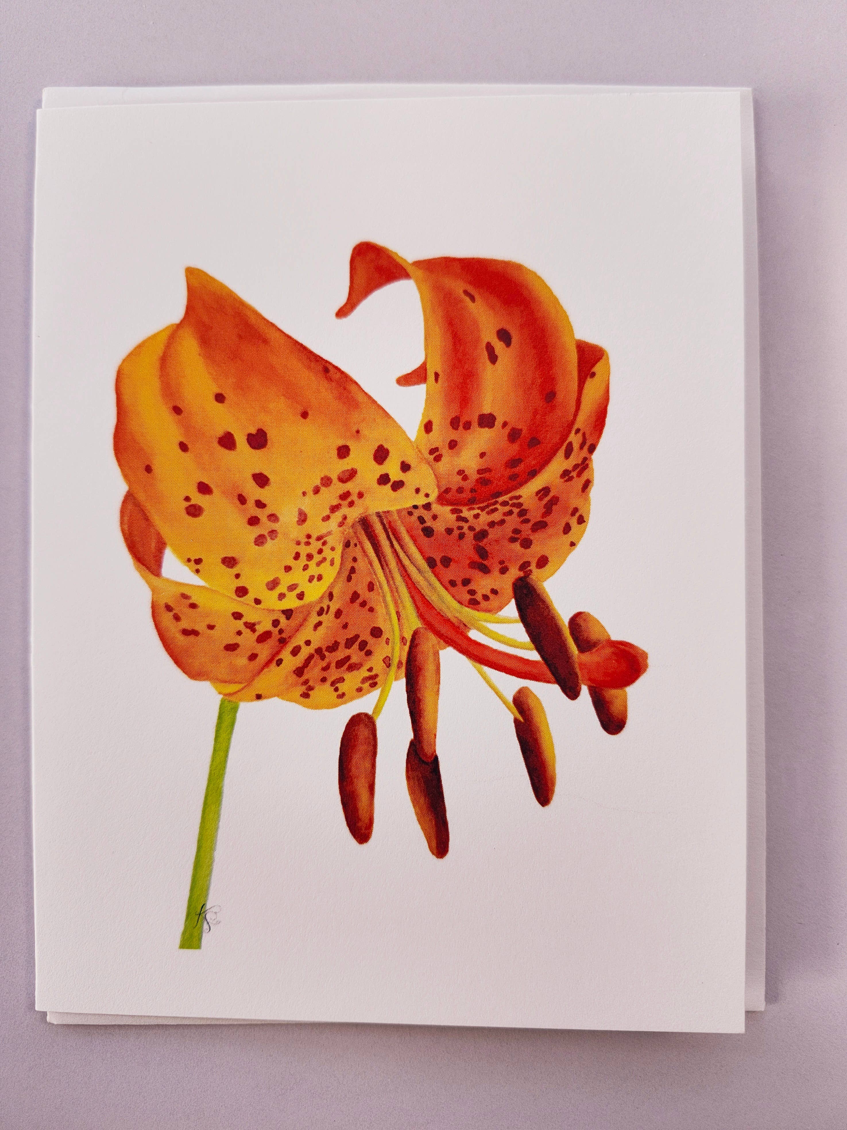 Redbriar Studio - Wholesale Stationery/Notecard Set - Notecards14