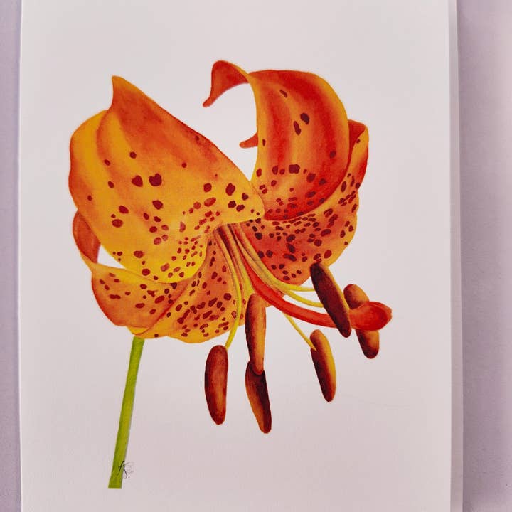 Redbriar Studio - Wholesale Stationery/Notecard Set - Notecards14