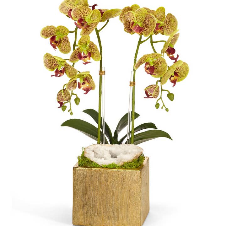T&C Floral Company - Wholesale Artificial Flowers - Double Orchid in Gold Square - GR