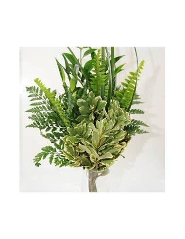 Florasource - Wholesale Fresh Cut Flowers - Greenery "drop in" Bouquets MEDIUM 5 / 10 / 15 / 20 bunches4