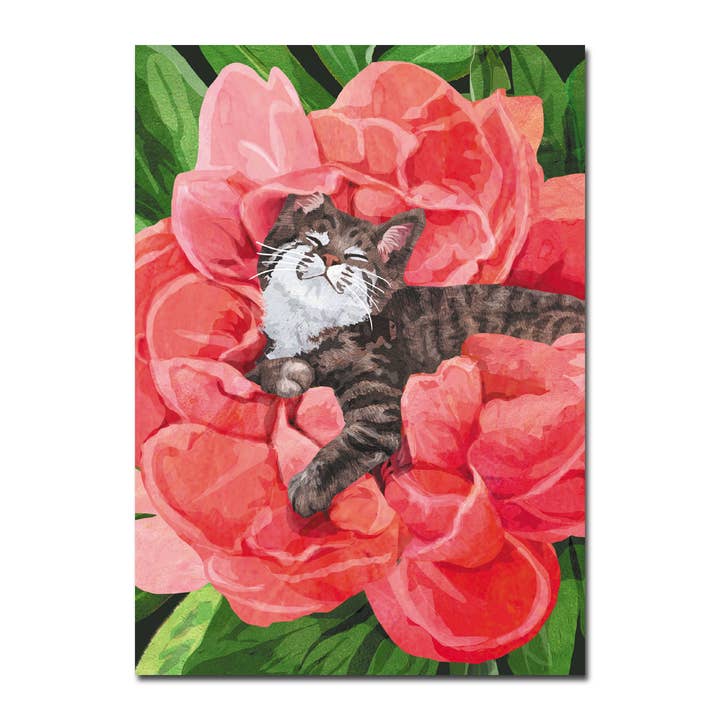 Cartão de Melhoras com Gatinho a Florescer por atacado de Allport Editions