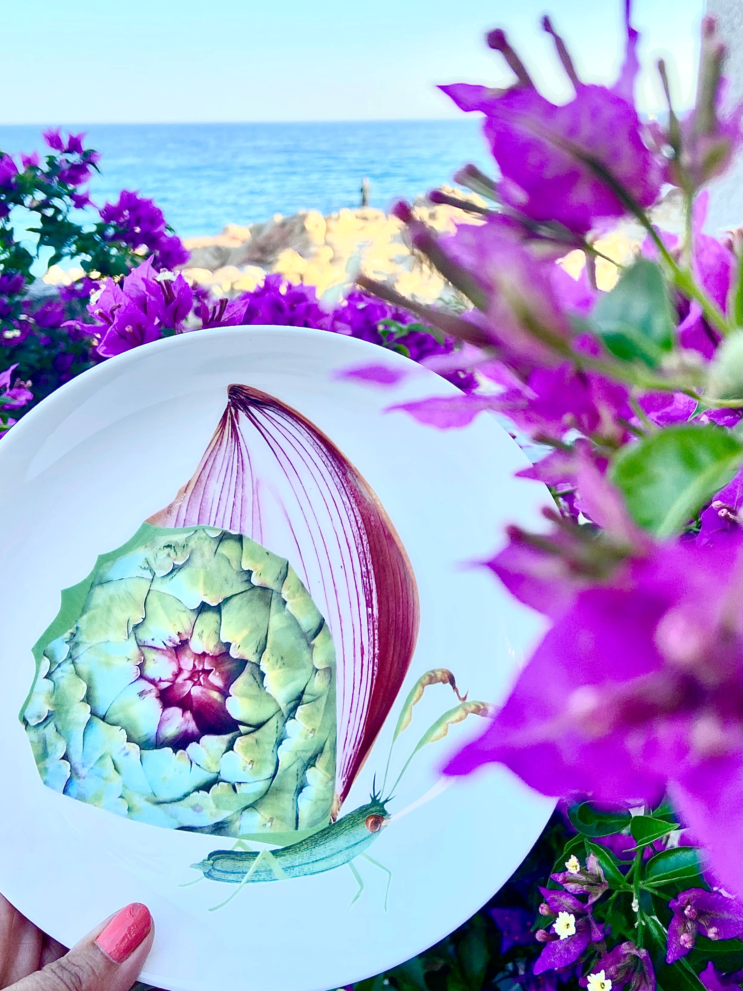 Bordy's - Wholesale Dinner Plate - The Dolce Vita of a Farfalla - Piatti Fondi20