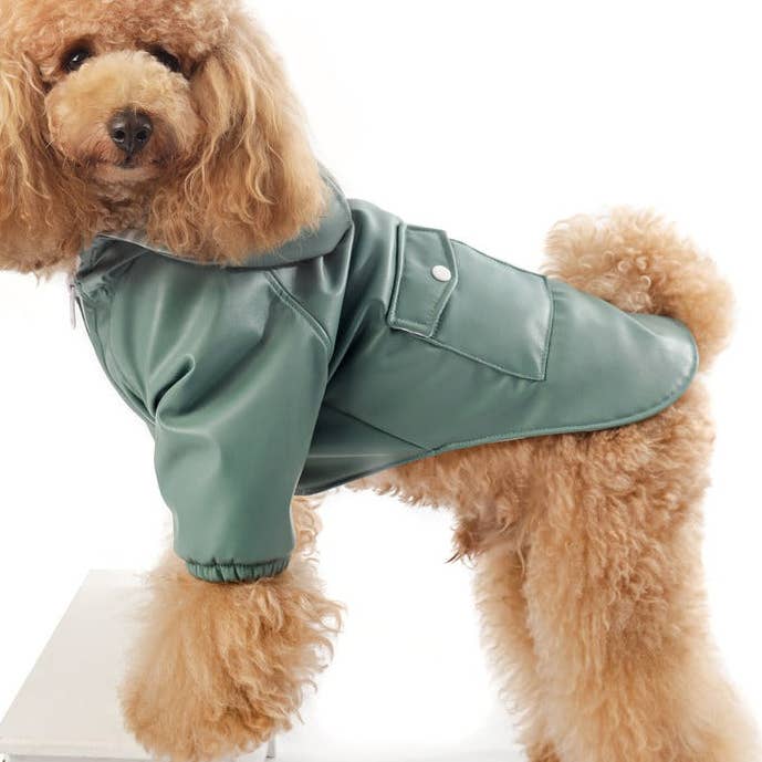 GREEN ZIPPER JACKET for wholesale by Wiwis