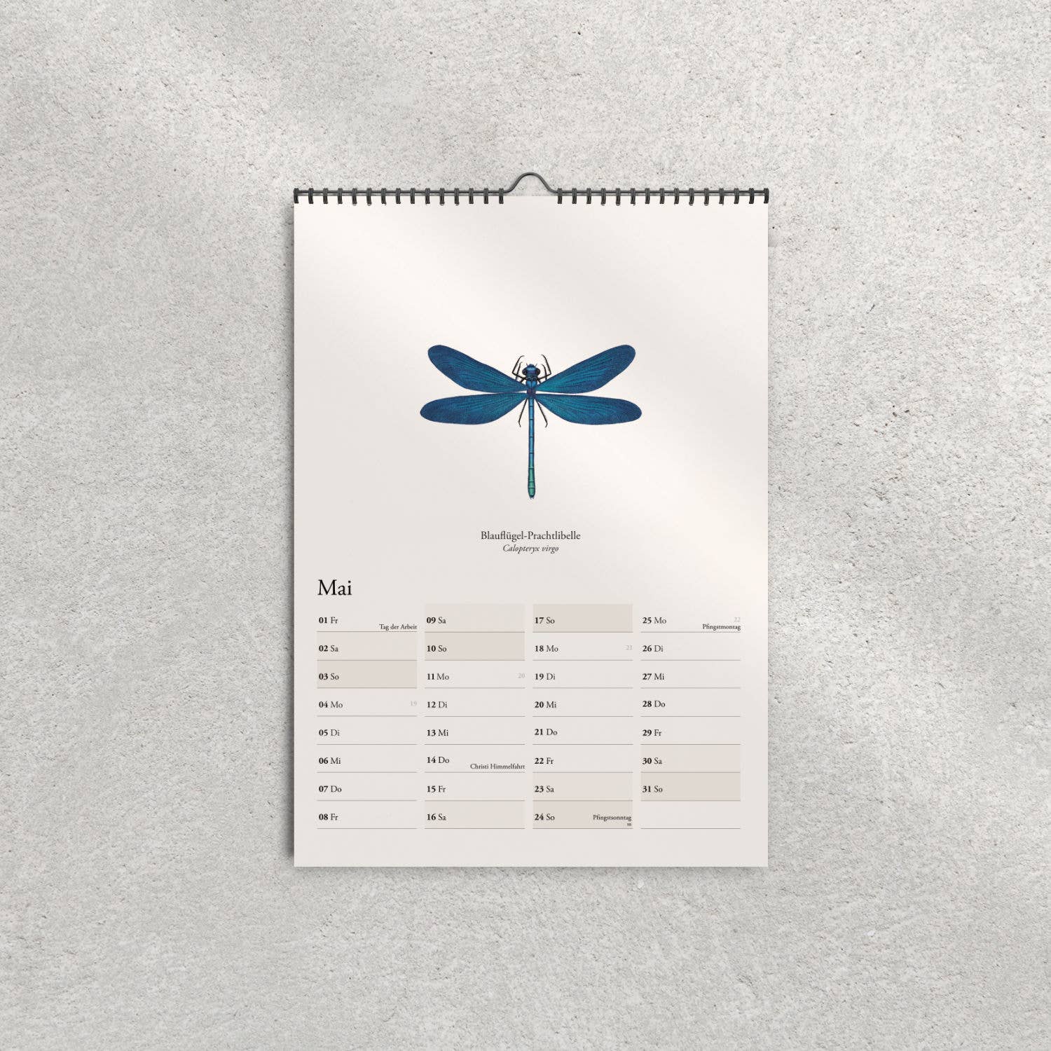 Terillu - Wholesale Calendar - Wall calendar 2026, calendar native dragonflies in A3 format4