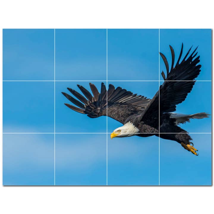 Piastrella in ceramica con piastrelle in ceramica Bird PT500181 per la vendita all'ingrosso da parte di Picture-Tiles.com