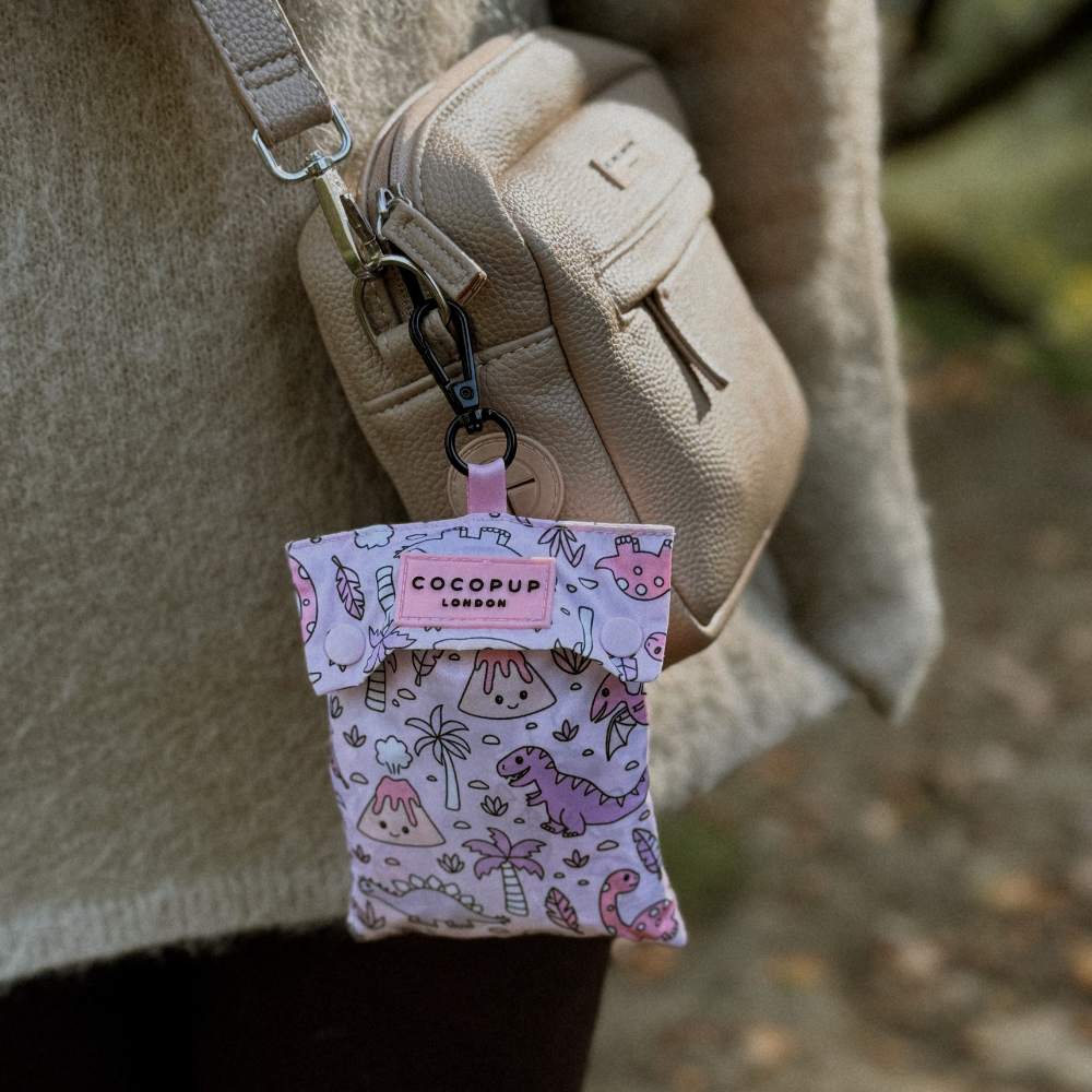 Cocopup London – wholesale Pet raincoat – Dog – Dog Raincoat - Princess Dino5