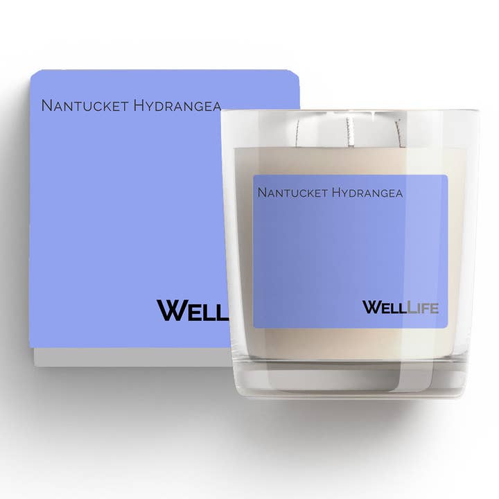 Hortensia Nantucket para venta al por mayor de Well Life