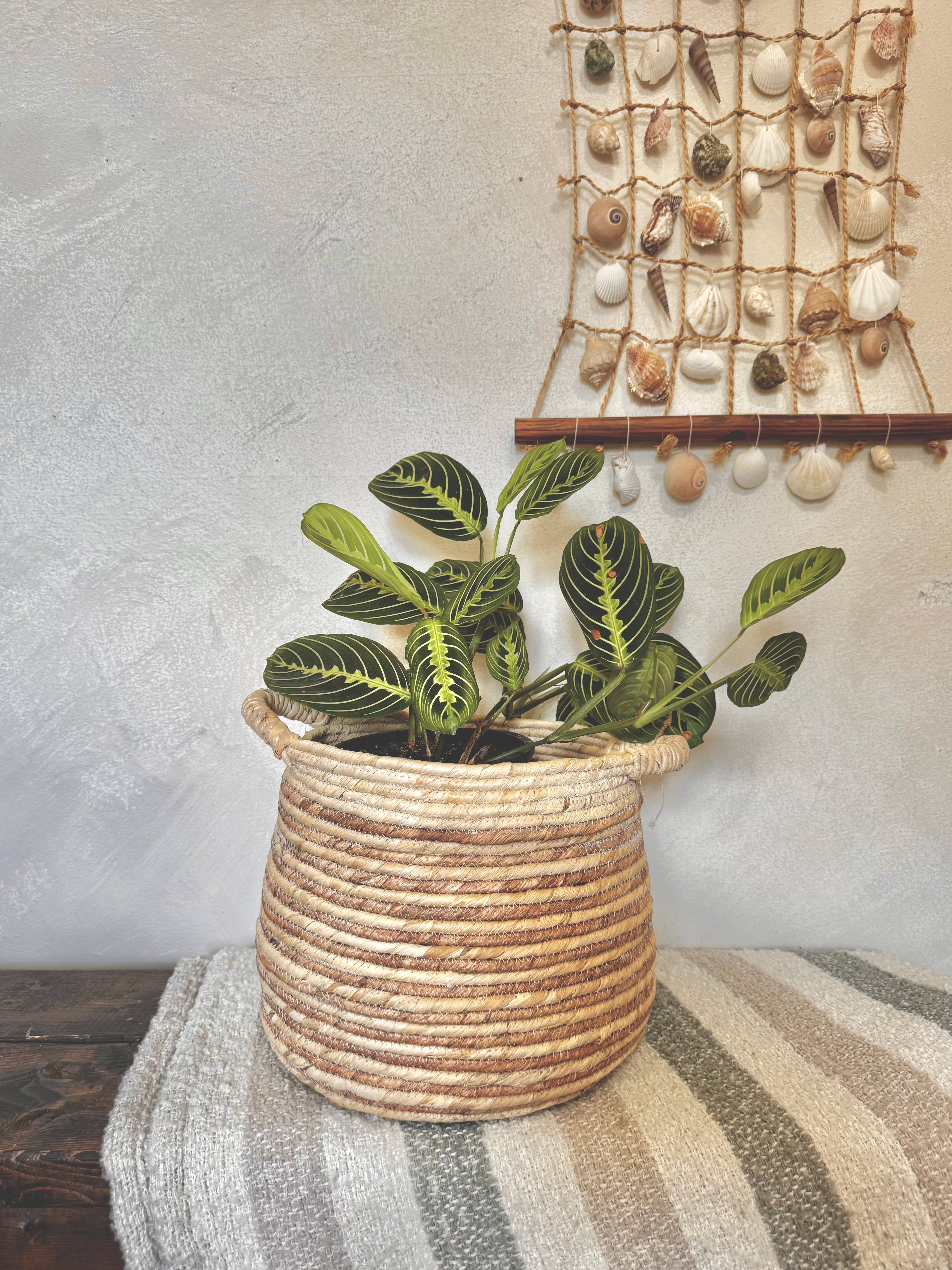 Natural Artisan Home - Wholesale Basket - Natural Boho Corn Husk Basket 5