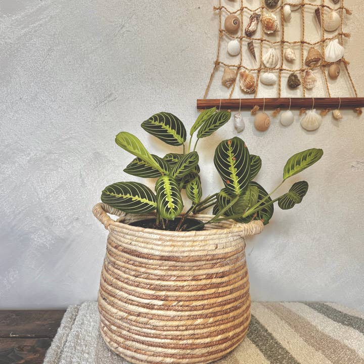 Natural Artisan Home - Wholesale Basket - Natural Boho Corn Husk Basket 5