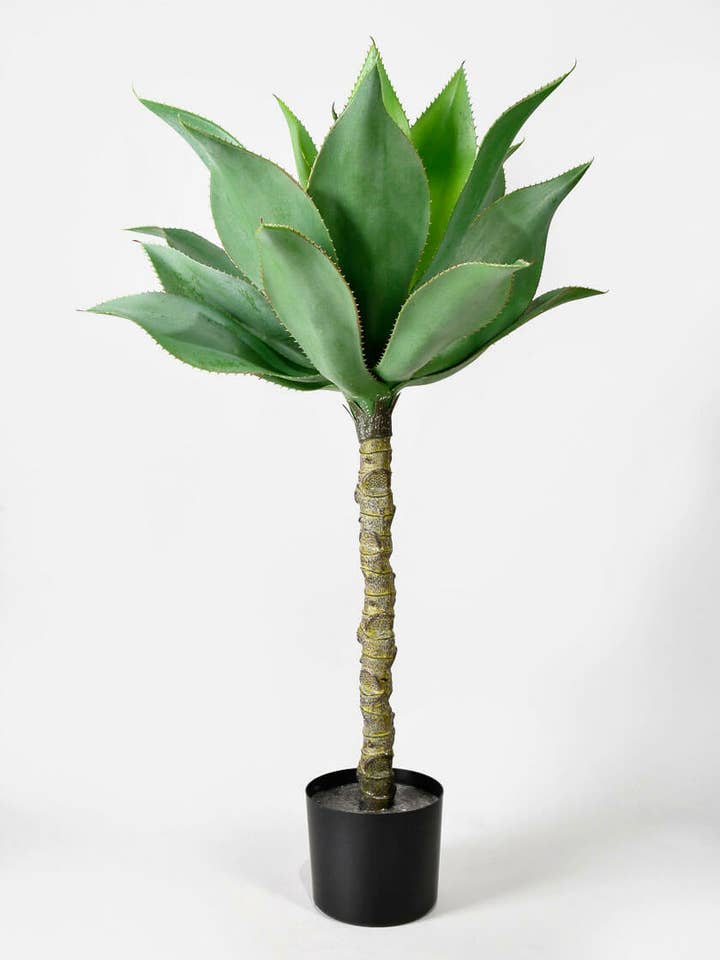 35in Agave Tree for wholesale by Jamali Garden