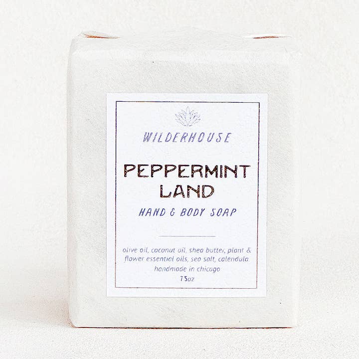 Peppermint Land Hand & Body Soap for wholesale by WILDERHOUSE