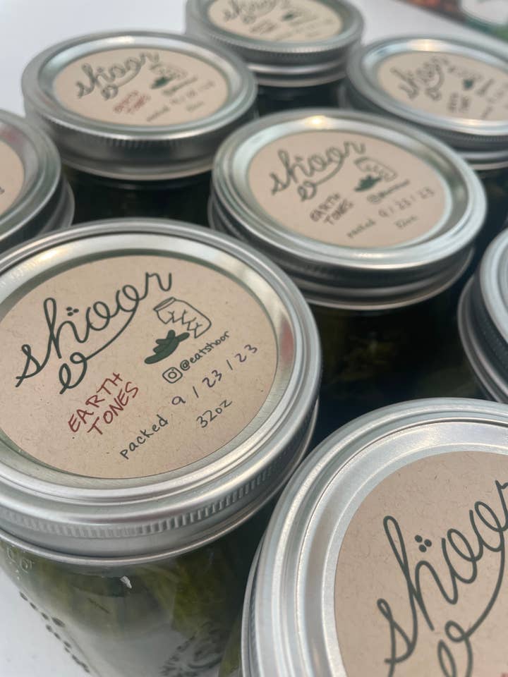 ‘Earth Tones’ Spicy Persian Pickles - 32oz for wholesale by shoor goods