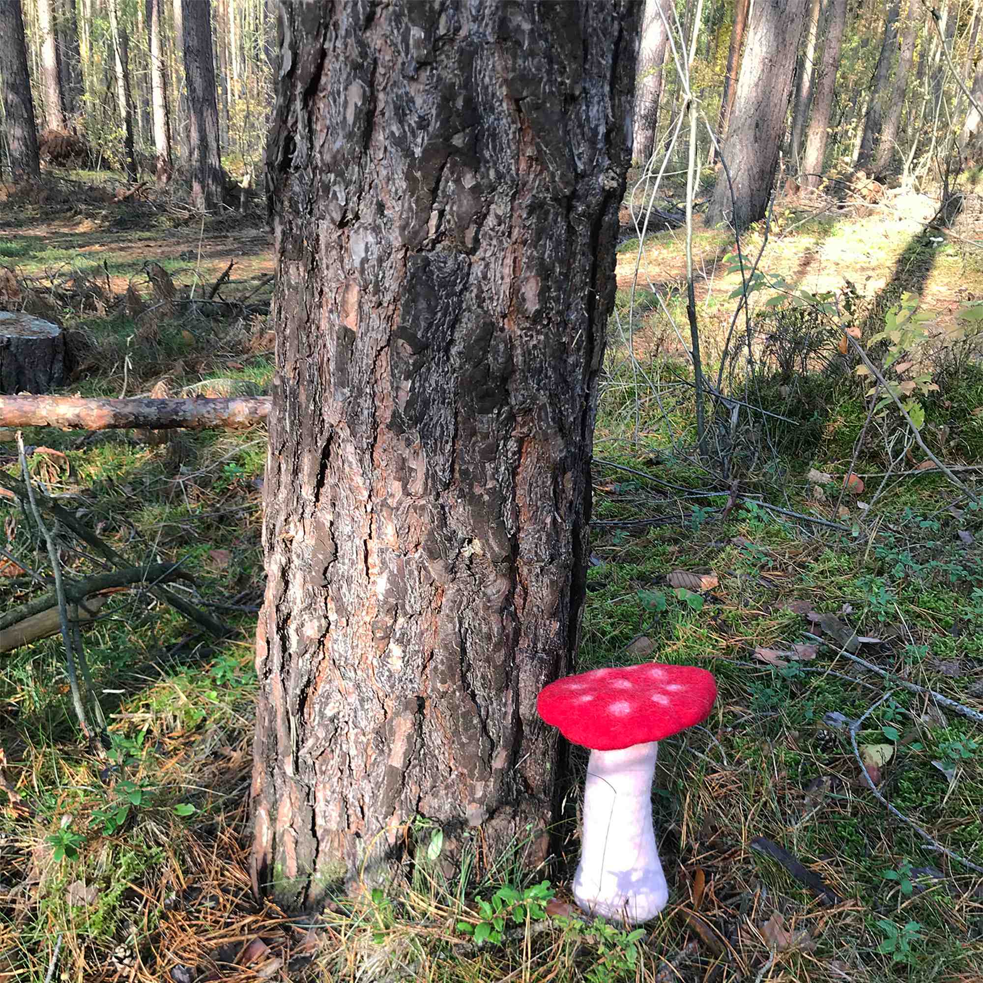 Tribal Trade GmbH - Vendita all'ingrosso Statuette decorative - Fungo amanita muscaria in feltro rosso, disponibile in 3 dimensioni25