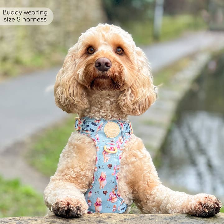 Pawsome Paws - Wholesale Pet Harness - Dog - Disney© Tough Trails™ Harness - Winnie The Pooh