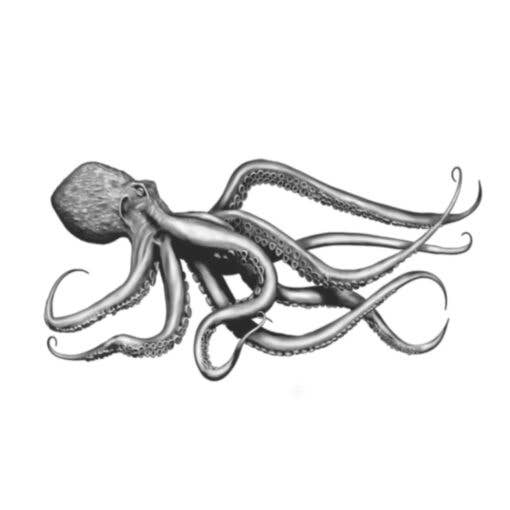 Everybody Has Skin LLC – wholesale Temporary tattoo – HOOKUP BRAND TEMPORARY TATTOO SHEETS (9) -SPECIAL FX MAKEUP13