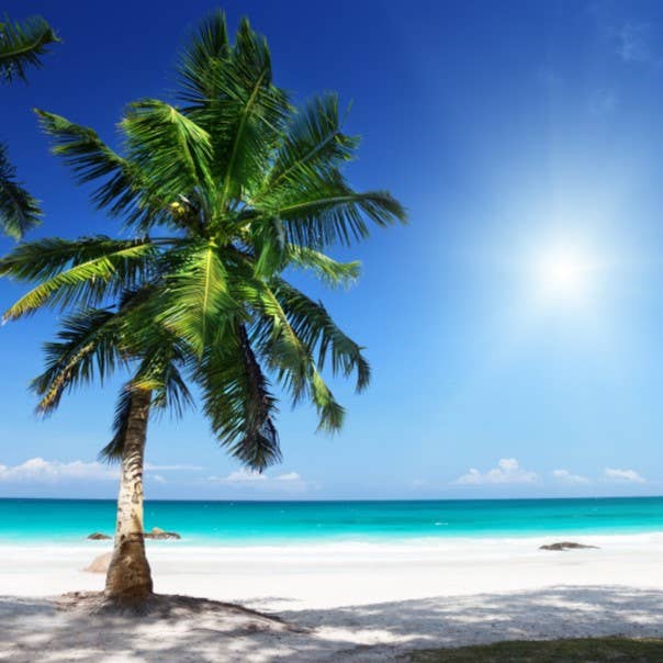 SCENTERPRISES INC – wholesale Parfymer/Eau de Toilette – Breezy Ozonisk parfym6