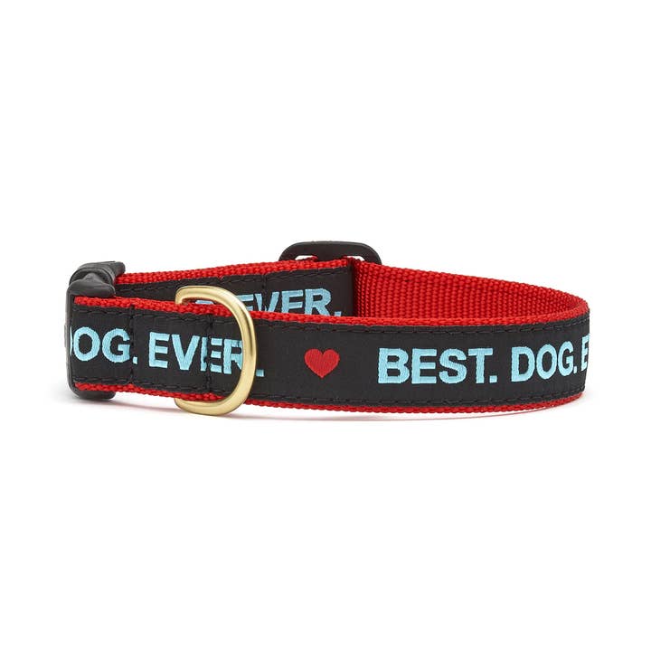 Up Country, Inc. – wholesale Pet collar – Dog – Best Dog Ever Dog Collar